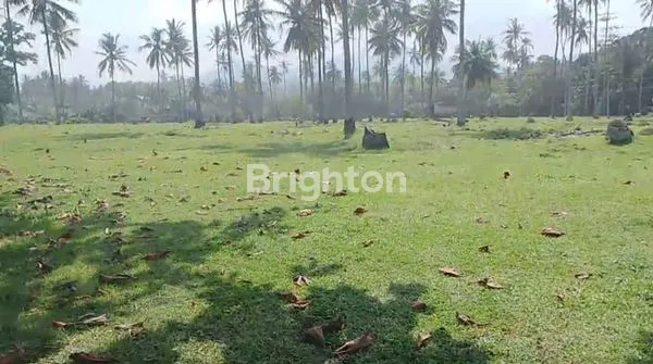 image DIJUAL TANAH TABANAN JL. RAYA DENPASAR - GILIMANUK (5)