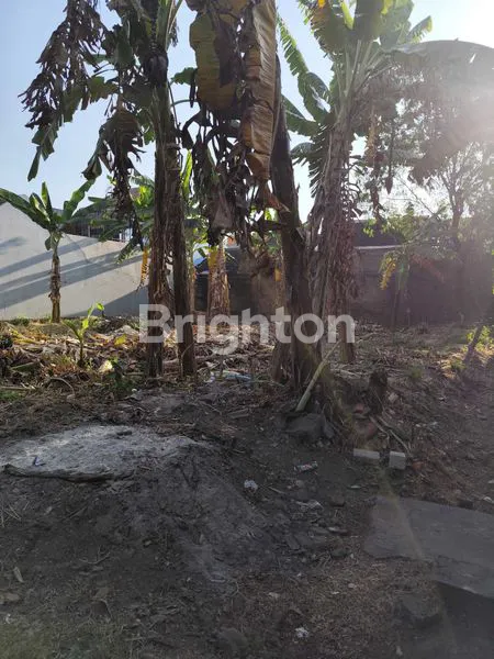 image TANAH KAVLING LOKASI STRATEGIS  , DI KAWASAN PERUM MADU ASRI BLOCK A.DI GAWANAN COLOMADU (4)