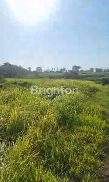 image TANAH DIJUAL MURAH – DEKAT TAMAN GRIYA, JIMBARAN (5)