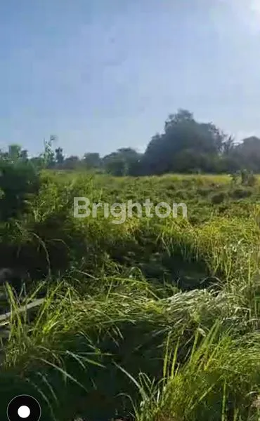 image TANAH DIJUAL MURAH – DEKAT TAMAN GRIYA, JIMBARAN (4)