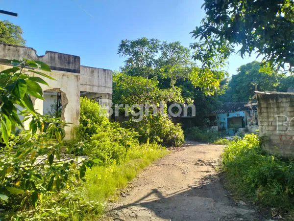 image TANAH DIJUAL MURAH – DEKAT TAMAN GRIYA, JIMBARAN (2)