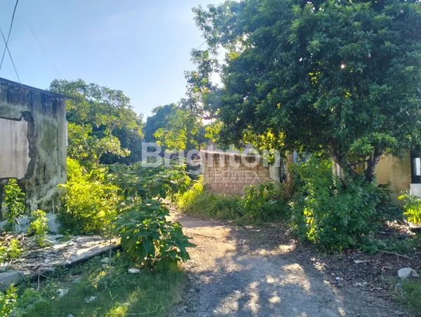 image TANAH DIJUAL MURAH – DEKAT TAMAN GRIYA, JIMBARAN (1)