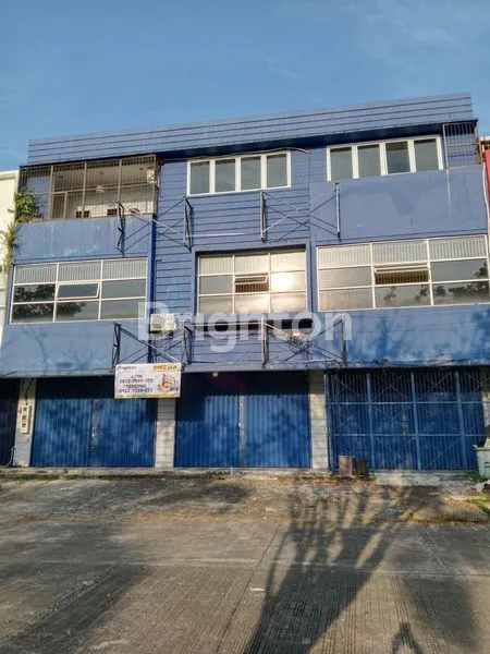 image RUKO BORNEO PARADISO (A238)  (2)