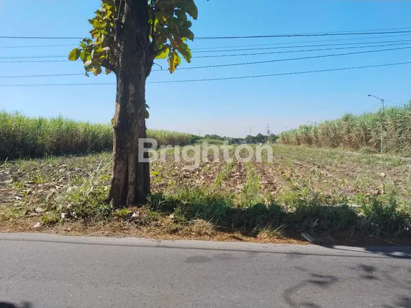 image TANAH SAWAH DI JUAL (BETET)  (2)