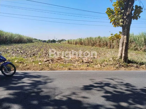 image TANAH SAWAH DI JUAL (BETET)  (1)