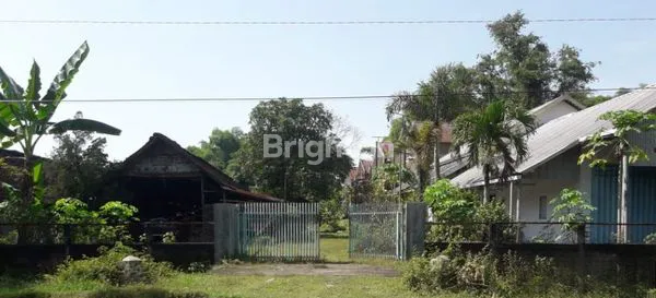 image TANAH DESA SEMBUNG, KARANG JATI DEKAT PASAR TALOK, NGAWI  (4)