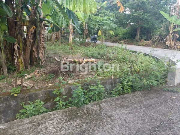 image TANAH LUAS 371 M² DI SELOKATON GONDANGREJO (8)