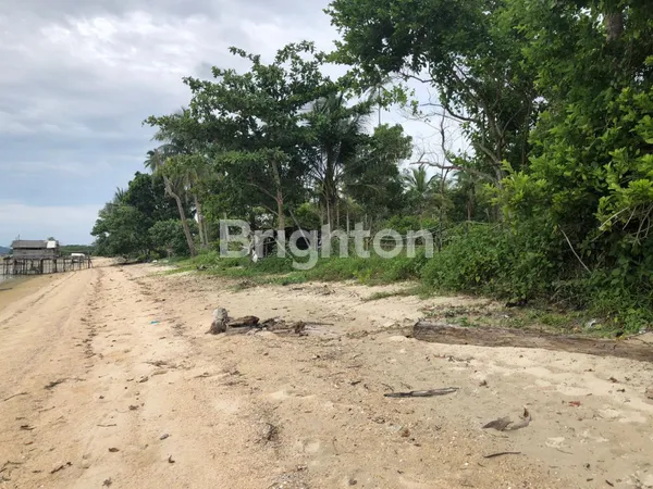 DIJUAL TANAH DI TEPI PANTAI DI BINTAN
