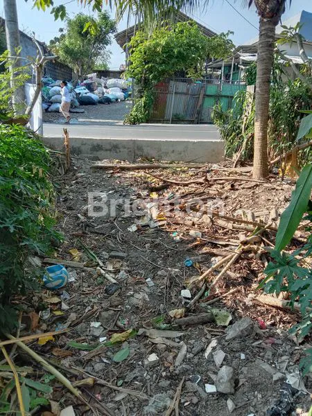 image TANAH DI JALAN TOYA NING 1 DENGAN LUAS 11 ARE ATAU 1.100 M² (2)