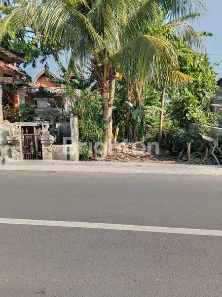 image TANAH DI JALAN TOYA NING 1 DENGAN LUAS 11 ARE ATAU 1.100 M² (3)