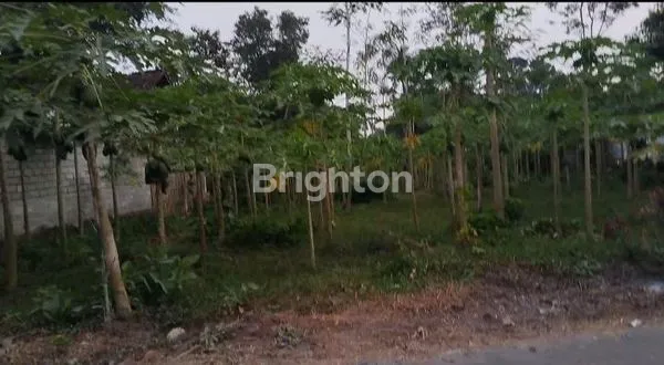 TANAH DI JUAL AREA BLITAR