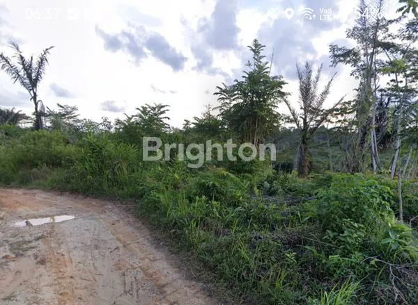 image LAHAN KOSONG UNTUK PERUMAHAN (2)