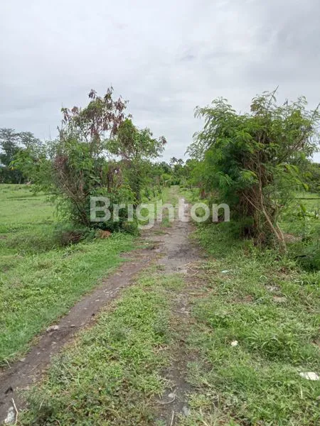 image TANAH VIEW PANTAI AREA SIYUT GIANYAR (2)