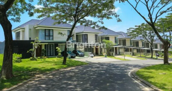 image CLUSTER ELITE CITRASUN (1)