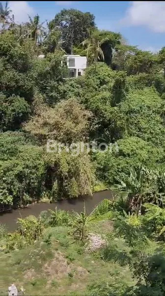 image TANAH LOKASI ASRI & STRATEGIS  DEKAT UBUD (3)