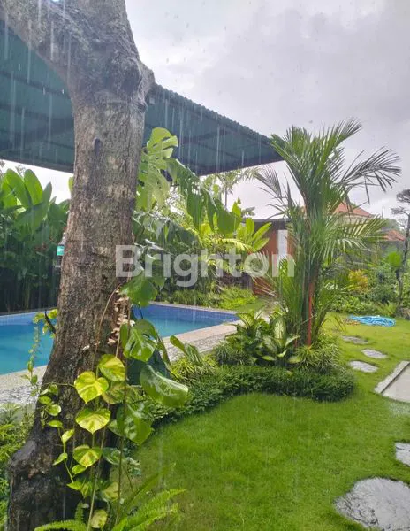 image DISEWAKAN RUMAH STYLE VILLA 2 BR LOKASI CANGGU (3)