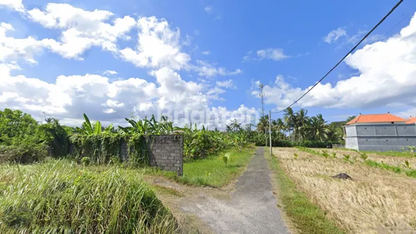 LEASEHOLD TANAH KAVLING COCOK UNTUK VILLA VIEW SAWAH DEKAT PANTAI CUCUKAN GIANYAR