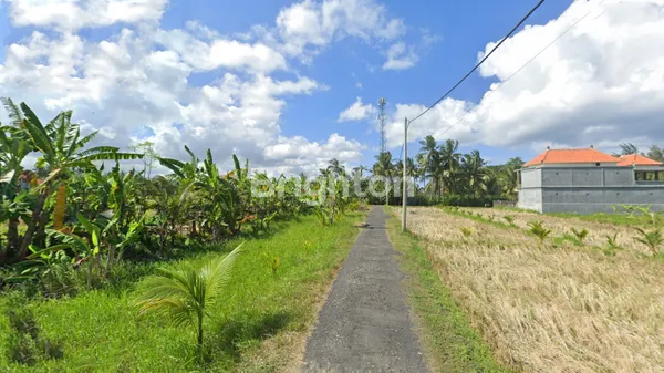 image LEASEHOLD TANAH KAVLING COCOK UNTUK VILLA VIEW SAWAH DEKAT PANTAI CUCUKAN GIANYAR (4)