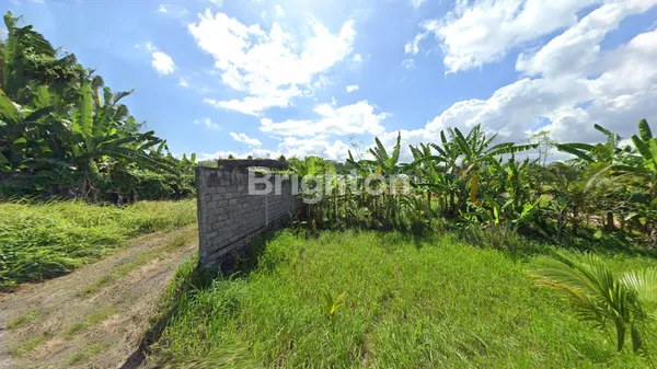 image LEASEHOLD TANAH KAVLING COCOK UNTUK VILLA VIEW SAWAH DEKAT PANTAI CUCUKAN GIANYAR (5)