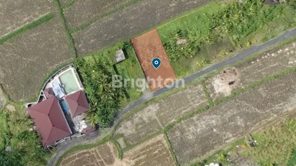 image LEASEHOLD TANAH KAVLING COCOK UNTUK VILLA VIEW SAWAH DEKAT PANTAI CUCUKAN GIANYAR (8)