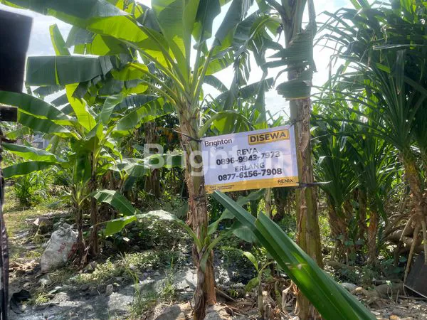 image TANAH 25 ARE ARE SUBAK DALEM GATSU TENGAH  (6)