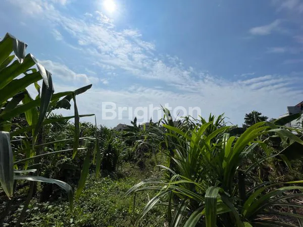image TANAH 25 ARE ARE SUBAK DALEM GATSU TENGAH  (8)