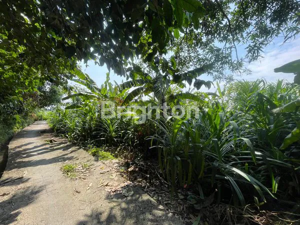 TANAH 8,63 ARE AREA JALAN ANTASURA BR CABE