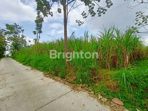 image TANAH SELUAS 8.848 M², HARGA TERJANGKAU  (1)