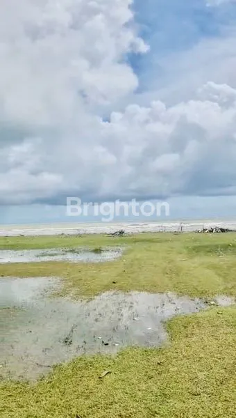 image  TANAH PREMIUM PINGGIR PANTAI (3)