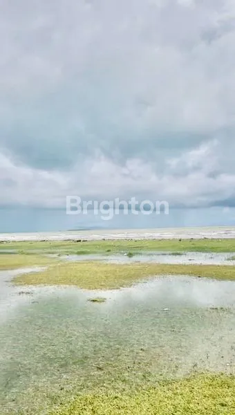 image  TANAH PREMIUM PINGGIR PANTAI (2)