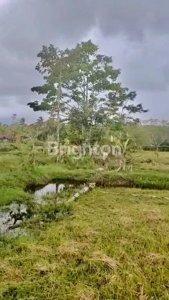 image  TANAH PREMIUM PINGGIR PANTAI (1)