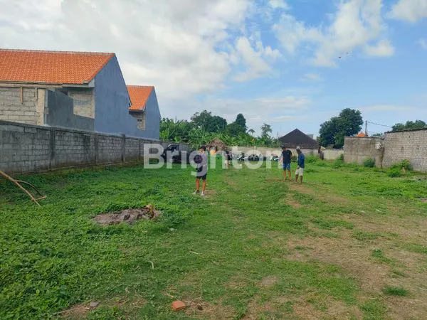 image TANAH KAVLING MURAH DALAM LINGKUNGAN CLUSTER DENPASAR TIMUR  (8)