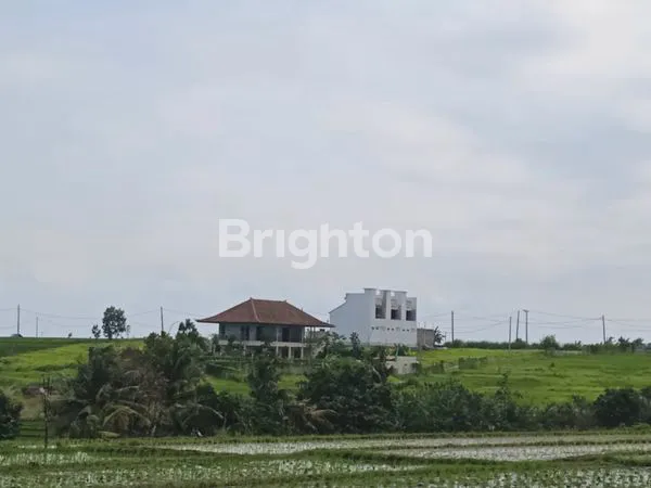 TANAH SHM 2.160 M² DI ZONA PARIWISATA TEGALMENGKEB TABANAN BALI DISEWAKAN MINIMUM 600 M2 DEKAT PANTAI KELENCUNG