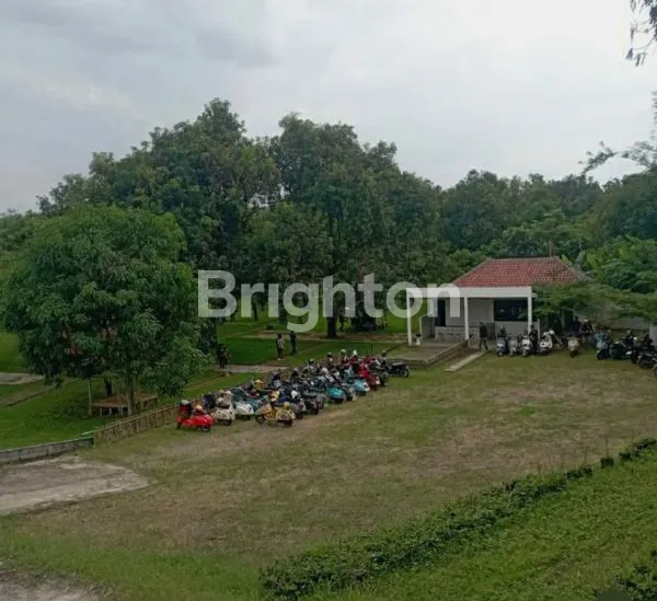 image CAFE DAN KEBUN MANGGA (2)