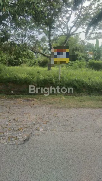 image TANAH  888 M (1)