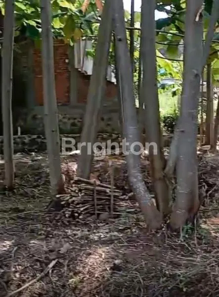 image DIJUAL CEPAT! TANAH STRATEGIS 540 M² DI CIWARU – KOTA BANDUNGDENGAN HARGA DI BAWAH PASARAN! BISA NEGO SAMPAI DEAL (4)