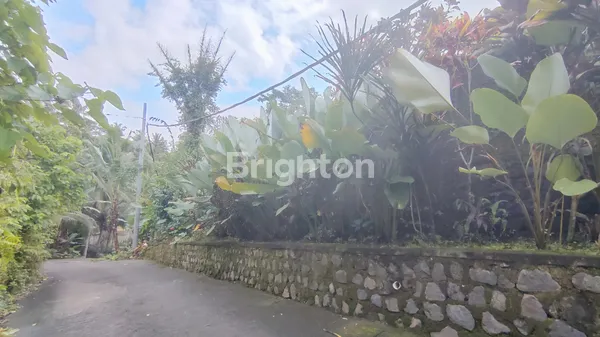 TANAH UBUD 2 ARE LOKASI STRATEGIS DENGAN VIEW MENAWAN