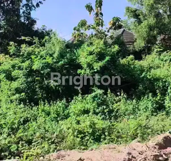 image TANAH 2,7 ARE DI KOMPLEKS VILLA JL. DHARMAWANGSA NUSA DUA (2)