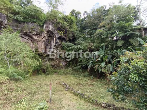 image TANAH KEBUN ZONA KUNING DI BATURITI TABANAN (6)