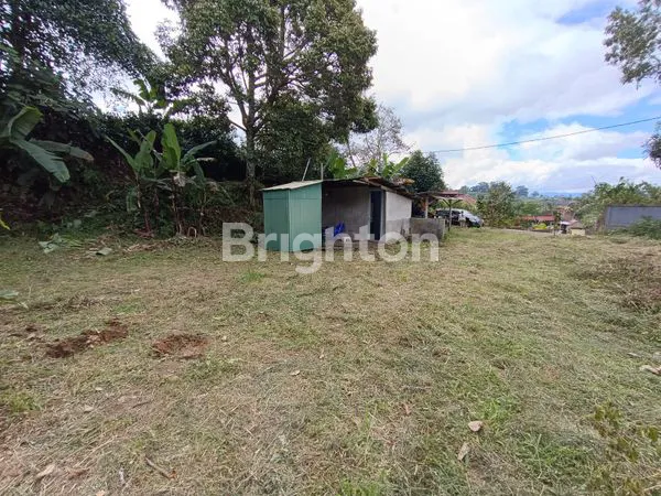 image TANAH KEBUN ZONA KUNING DI BATURITI TABANAN (5)