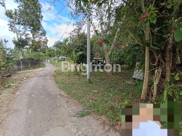 TANAH KEBUN ZONA KUNING DI BATURITI TABANAN