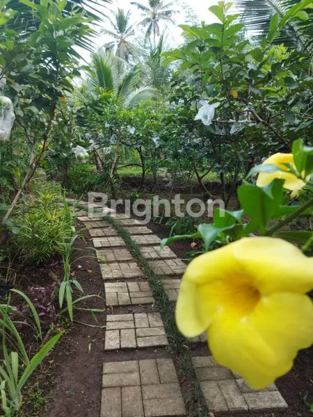 LAHAN PREMIUM 4755M² EX-RESTO DI SITALANG SALATIGA, SHM