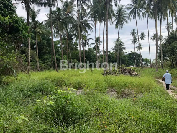 image DIJUAL TANAH DI BINTAN (5)