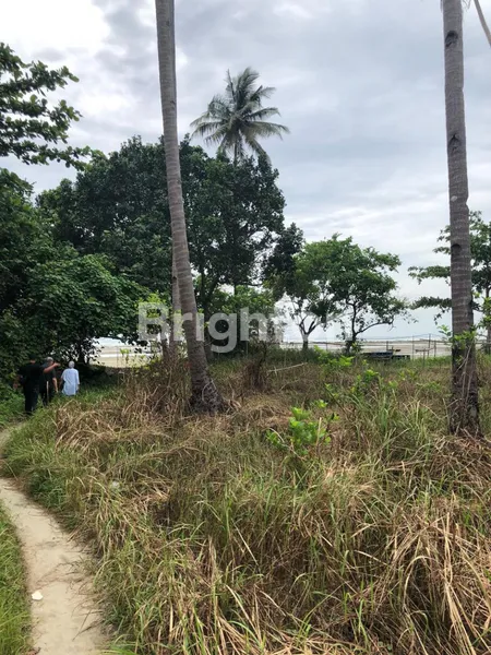 image DIJUAL TANAH DI BINTAN (6)