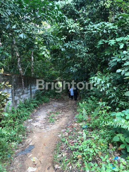 image DIJUAL TANAH DI BINTAN (7)