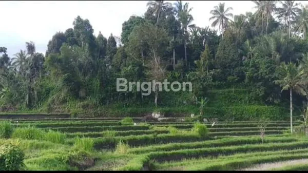 image TANAH VIEW GUNUNG AGUNG KARANGASEM  (2)