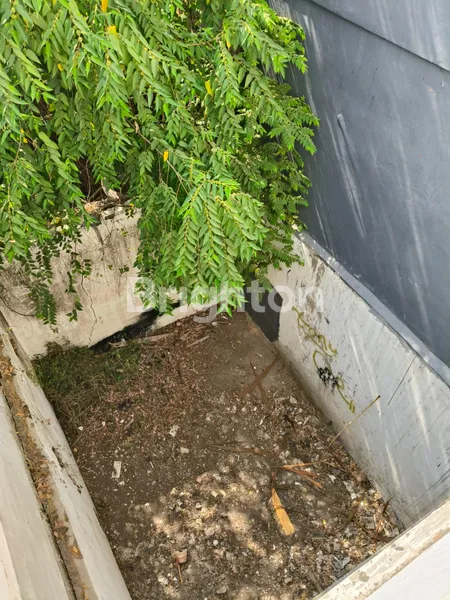 image   RUKO RAYA NGAGEL DEKAT KERTAJAYA, DEKAT JL DINOYO  (6)