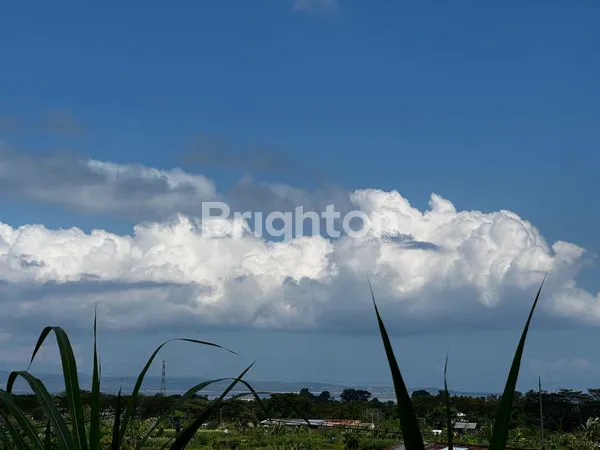 image HARGA JAUH DI BAWAH PASARAN ! TANAH EKSKLUSIF 3,1 HEKTAR DENGAN VIEW NUSA PENIDA & NUSA LEMBONGAN DI KUSAMBA , KLUNGKUNG . BALI (3)
