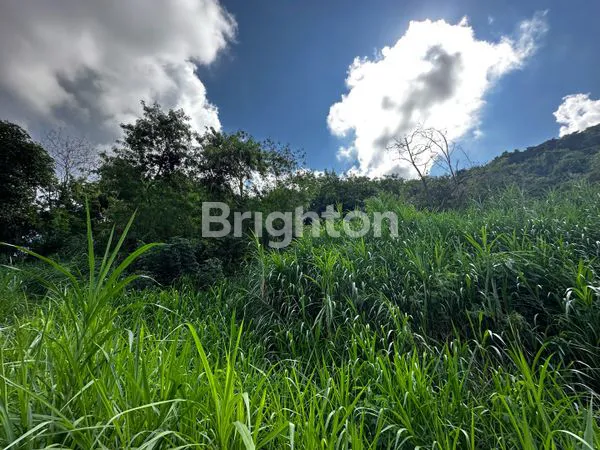 image HARGA JAUH DI BAWAH PASARAN ! TANAH EKSKLUSIF 3,1 HEKTAR DENGAN VIEW NUSA PENIDA & NUSA LEMBONGAN DI KUSAMBA , KLUNGKUNG . BALI (5)