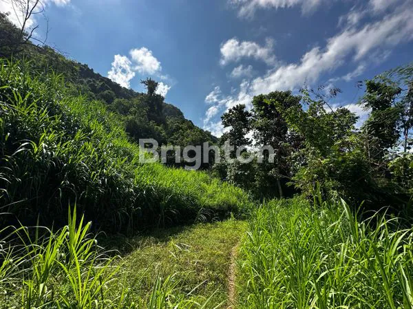 image HARGA JAUH DI BAWAH PASARAN ! TANAH EKSKLUSIF 3,1 HEKTAR DENGAN VIEW NUSA PENIDA & NUSA LEMBONGAN DI KUSAMBA , KLUNGKUNG . BALI (6)